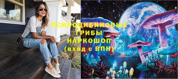 дурь Алексеевка