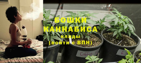 ГАЛЛЮЦИНОГЕННЫЕ ГРИБЫ Алексин