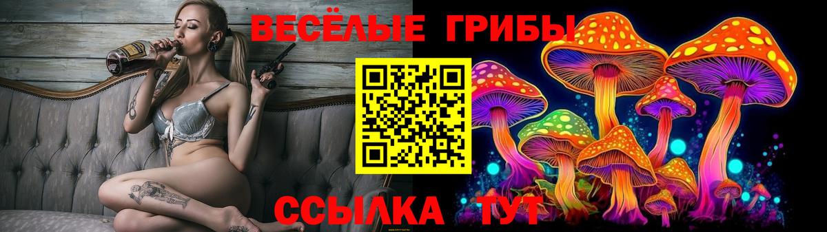 Галлюциногенные грибы MAGIC MUSHROOMS  Вход с VPN  Иркутск 